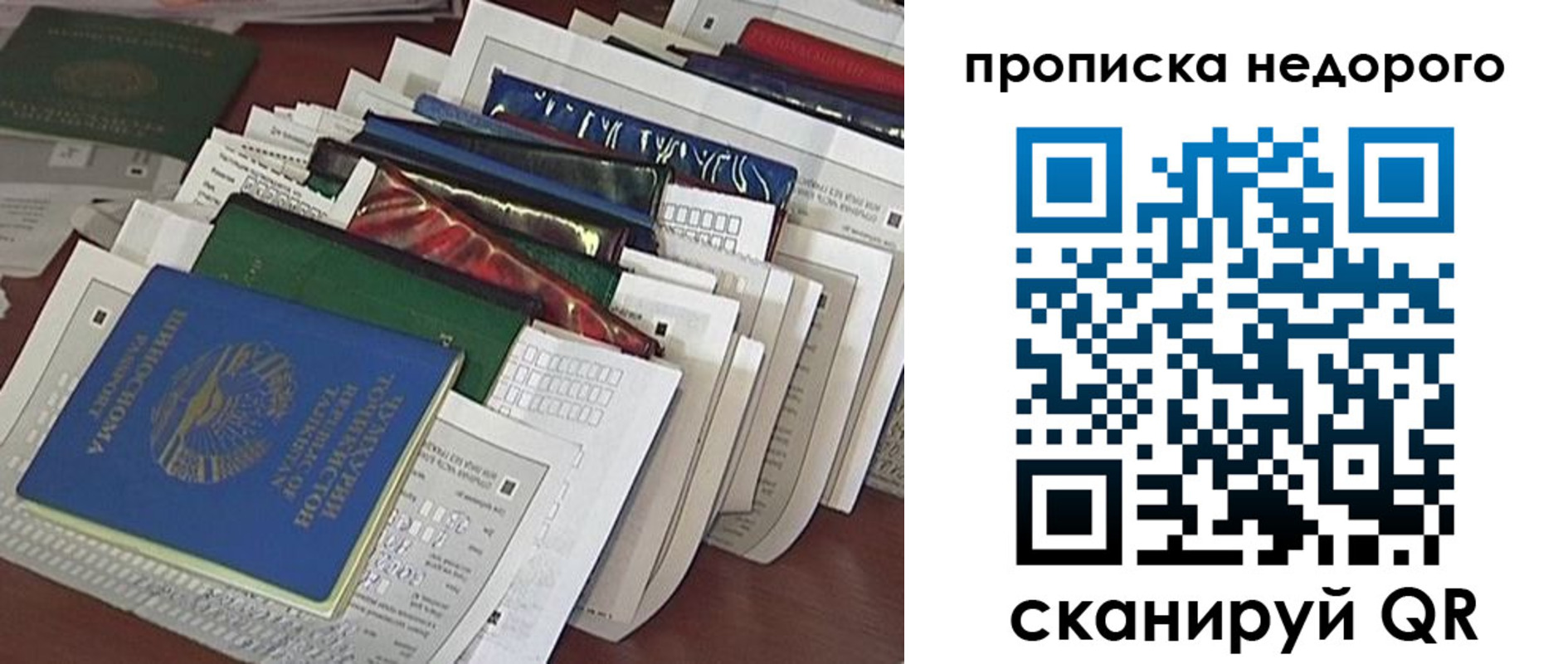 прописка гарантия в Медногорске